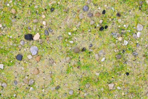 Base Ready Mediterranean Soil - Fog of Wargames - 5060774400715