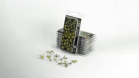 Monstera - Fog of Wargames - 0738956790002