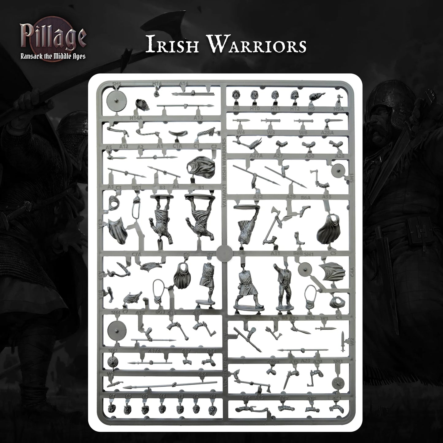 Pillage Introductory Set