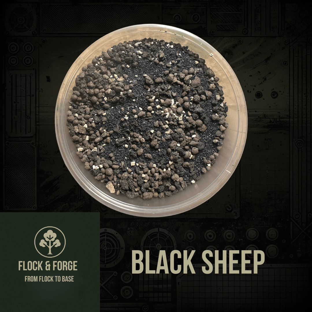 Black Sheep - Fog of Wargames - 