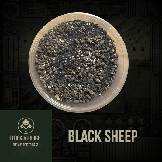 Black Sheep - Fog of Wargames - 